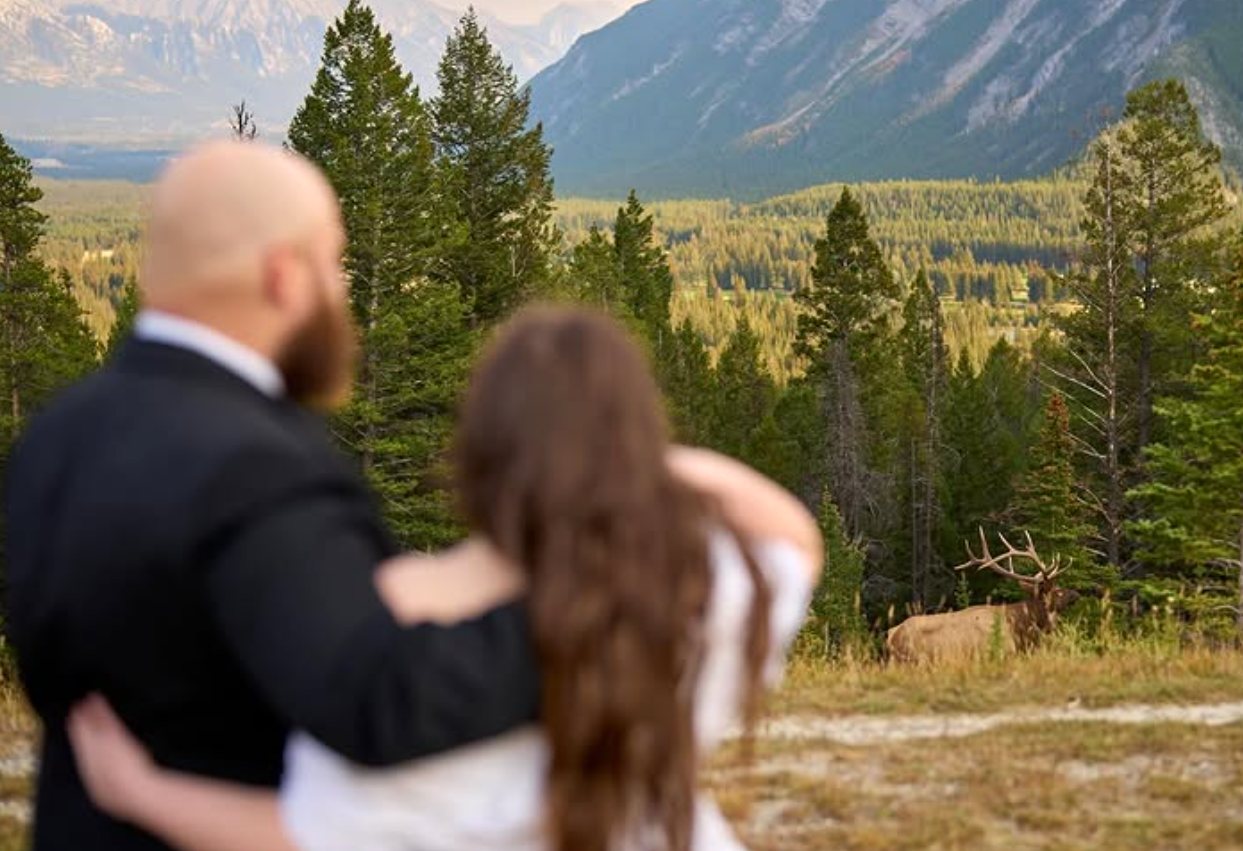 Alberta Mountain Wedding