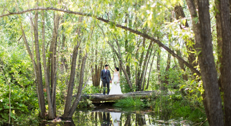 Calgary Zoo Wedding