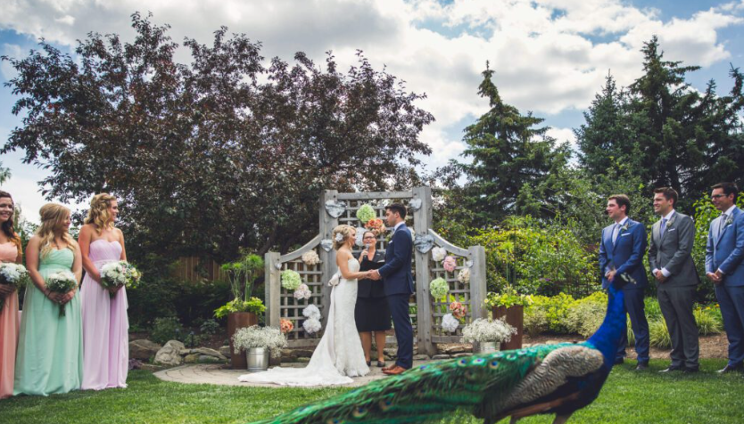 Calgary Zoo Wedding