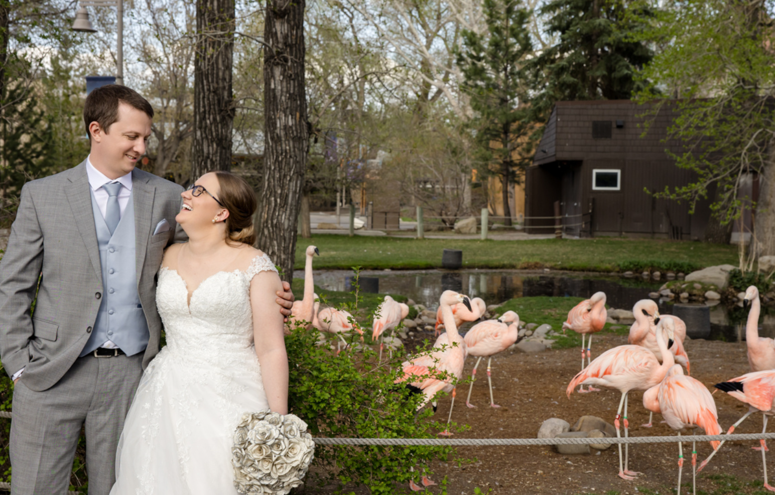 Calgary Zoo Wedding